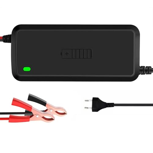 STHIRA® AGM Gel Lead Battery Charger STHIRA® AGM Gel Lead Battery Charger